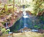 Glamping Tent - Powys