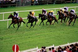 selfcatering horse racing, accommodation, places to stay