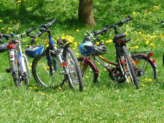 family cycling northumberland