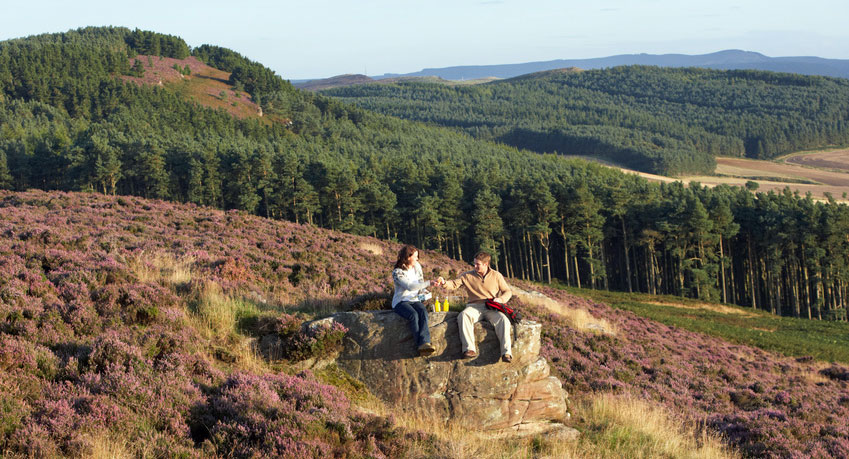 northumberland family adventure