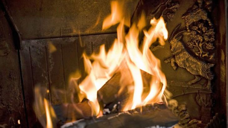 Gray Manes - Photo 22