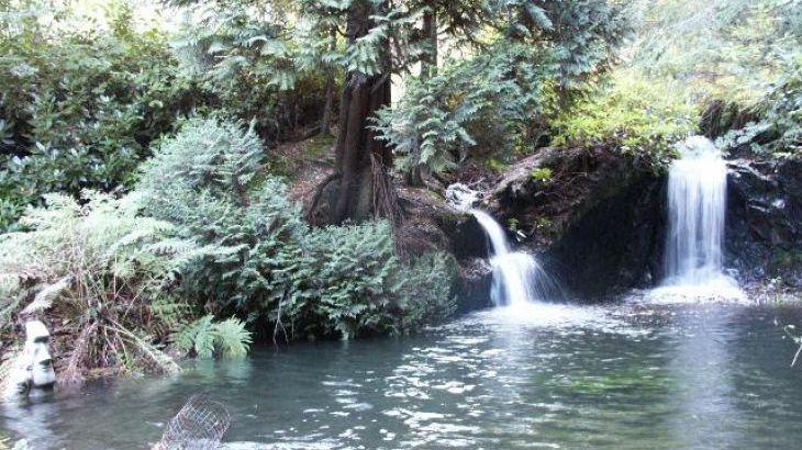 Woodland Waterfalls - Main Photo