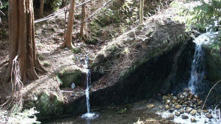 Woodland Waterfalls - Photo 12