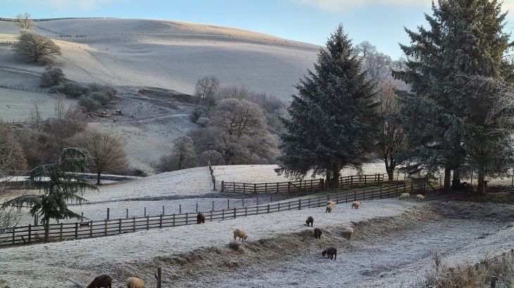 Cefn-nant Lodge - Photo 15