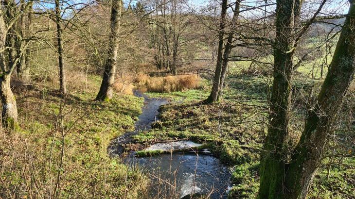 Cefn-nant Lodge - Photo 21