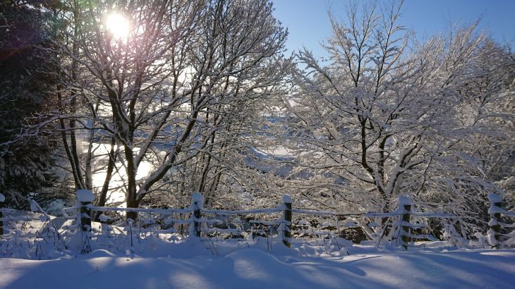 Cefn-nant Lodge - Photo 24