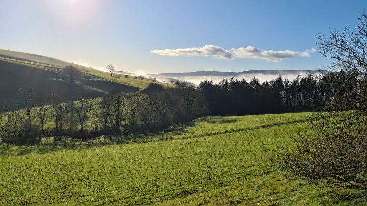 Cefn-nant Lodge - Photo 27