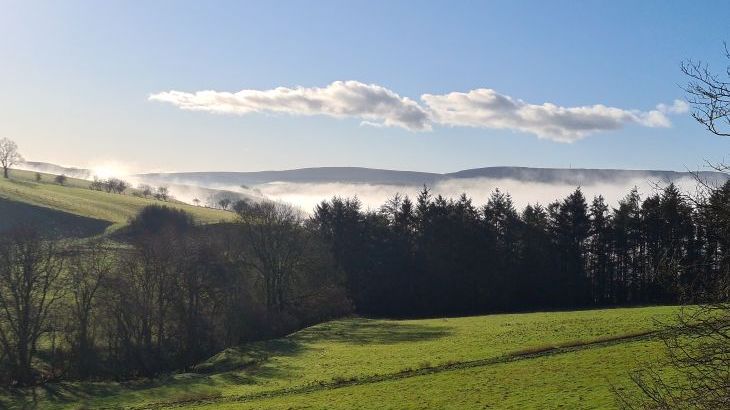 Cefn-nant Lodge - Photo 28