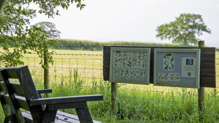 Buttercups Haybarn 5 Star Cottage with Indoor Pool, Sports Court & Toddler Play Area - Photo 23