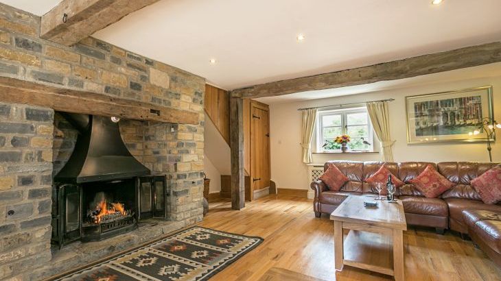 Gray Manes - Photo 4