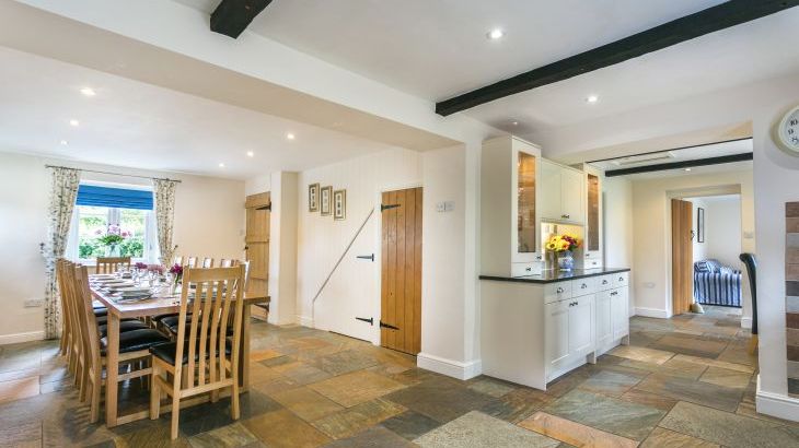 Gray Manes - Photo 5