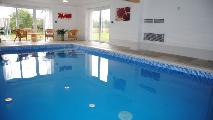 Gray Manes - Photo 1