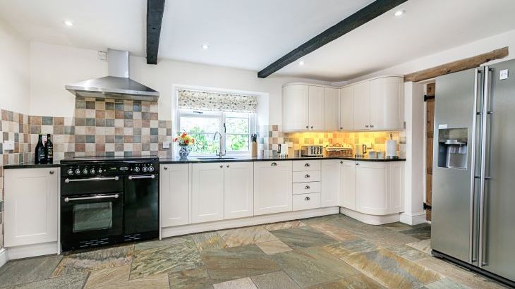 Gray Manes - Photo 6