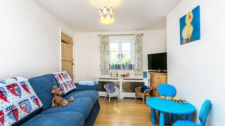 Gray Manes - Photo 9