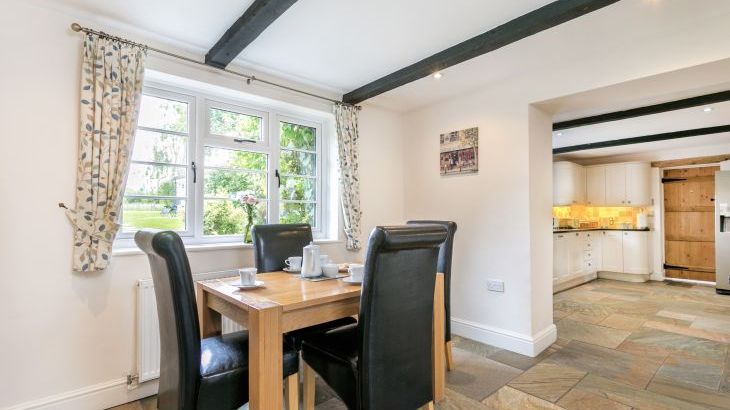 Gray Manes - Photo 8