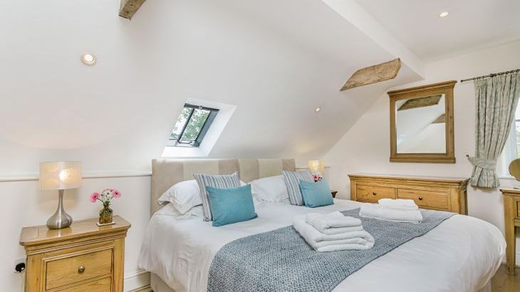 Gray Manes - Photo 11