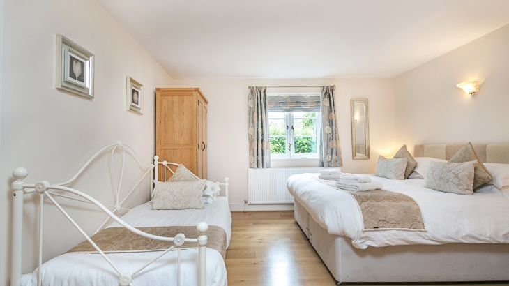 Gray Manes - Photo 13