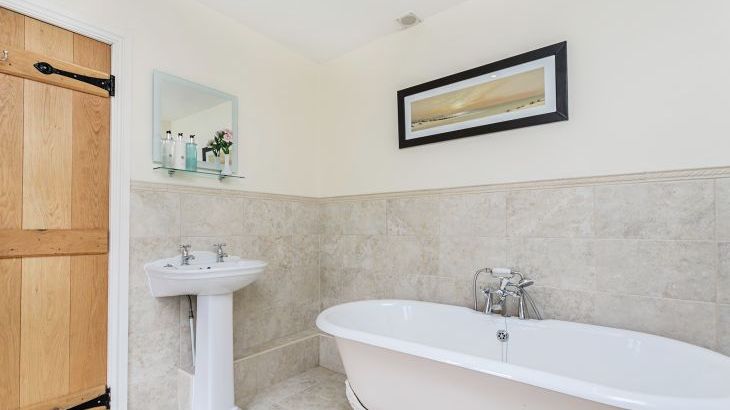 Gray Manes - Photo 19