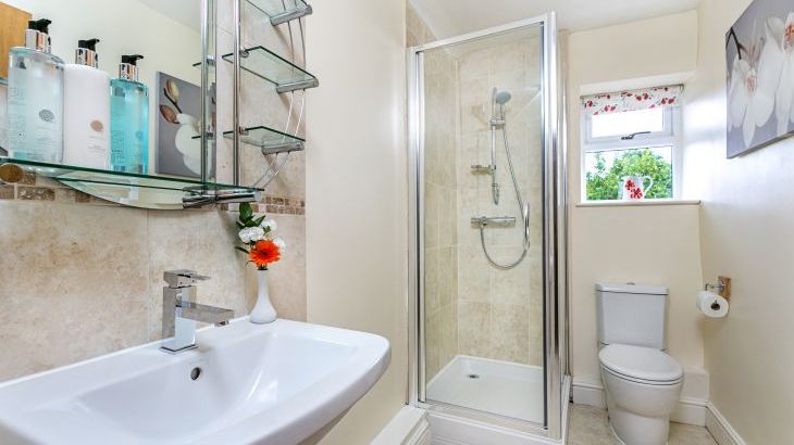 Gray Manes - Photo 20