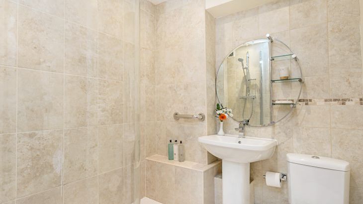 Gray Manes - Photo 14