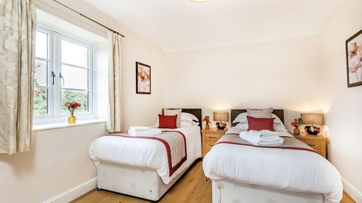 Gray Manes - Photo 15