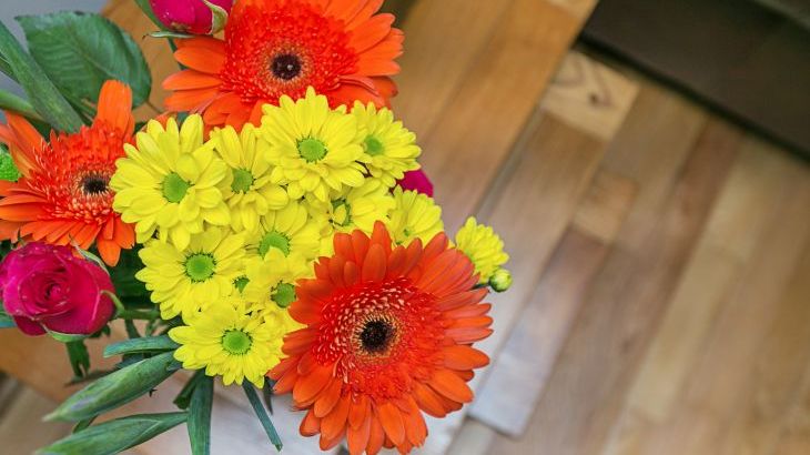 Gray Manes - Photo 24