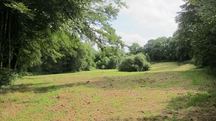 The Lodge at Colmer, Kingsbridge - Photo 12