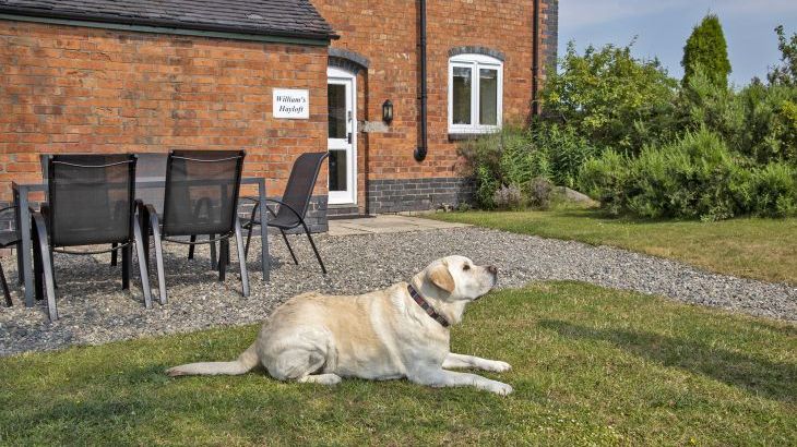 Buttercups & Hayloft Sleeps & Dines 16 with Pool, Sports Court & Play Area - Photo 35