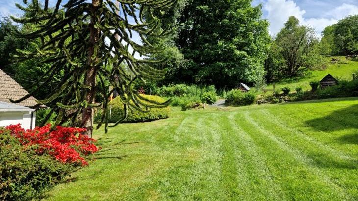 Ty Gwyn Cottage - Photo 8