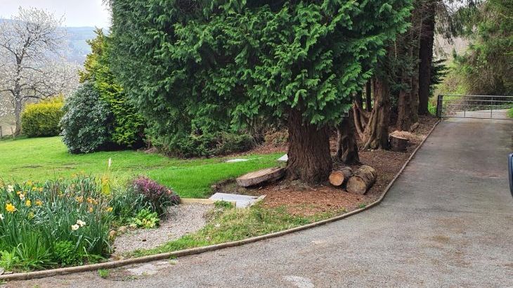 Ty Gwyn Cottage - Photo 12