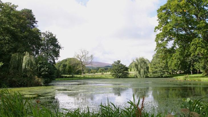 Knowle Manor - Photo 8