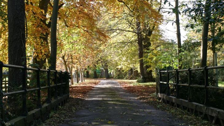 Knowle Manor - Photo 9