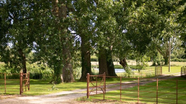 Rose Cottage - Photo 23