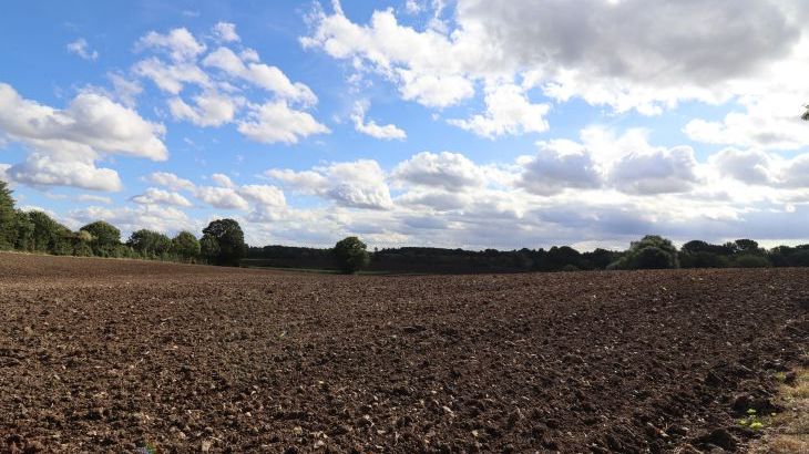 Wayside Cottage - Photo 34