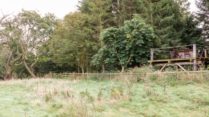 Badgers Sett - Photo 23