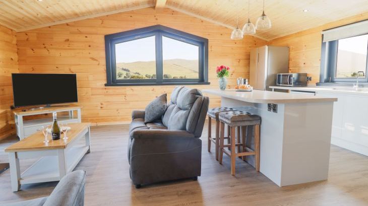 Bacheiddon Log Cabin - Photo 3