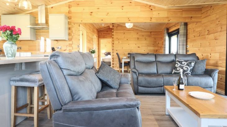 Bacheiddon Log Cabin - Photo 5