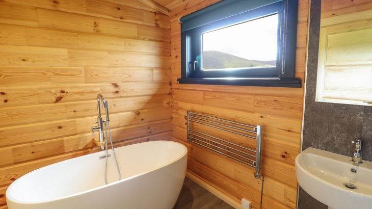 Bacheiddon Log Cabin - Photo 11