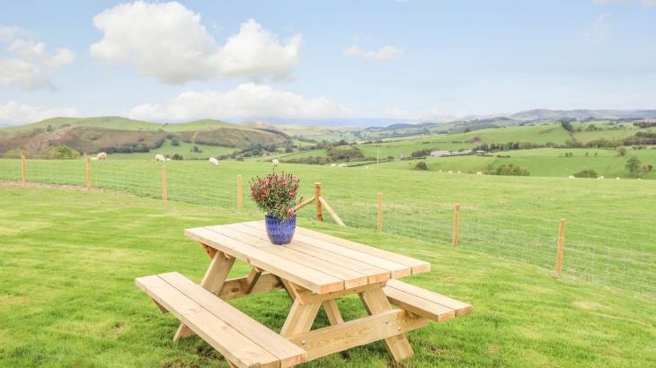 Bacheiddon Log Cabin - Photo 20