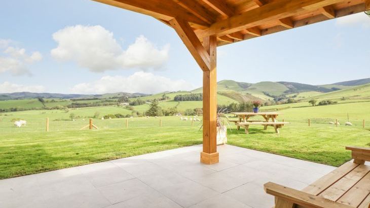 Bacheiddon Log Cabin - Photo 17