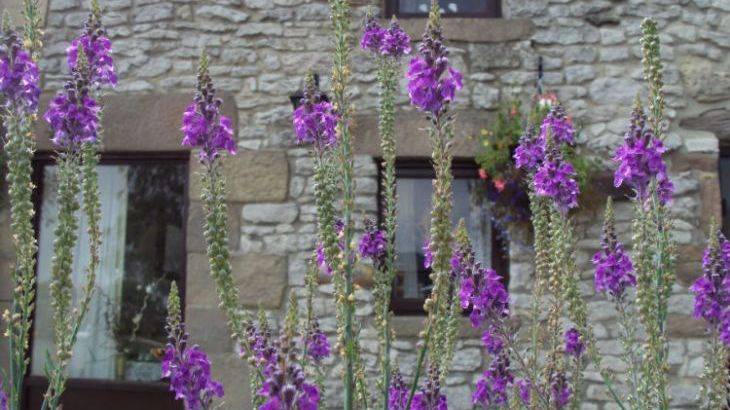 Old Coach House - Photo 21