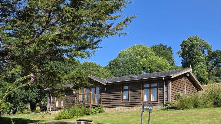 Owl Lodge - Photo 12