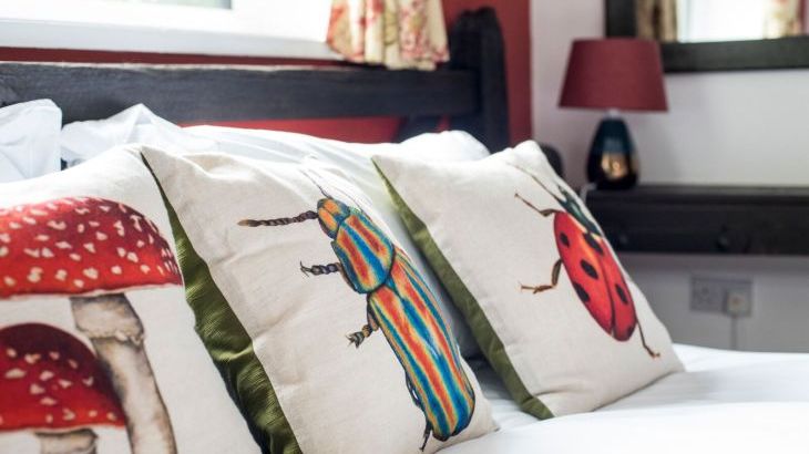 Agricola House - Photo 7