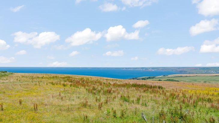 Nine Ocean Reach - Photo 9