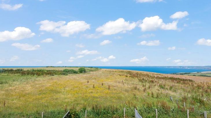 Ten Ocean Reach - Photo 6