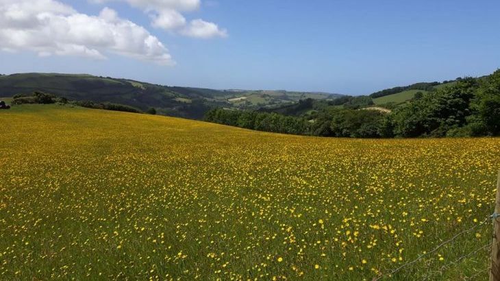 Cider House at Nutcombe Cottages - Photo 25