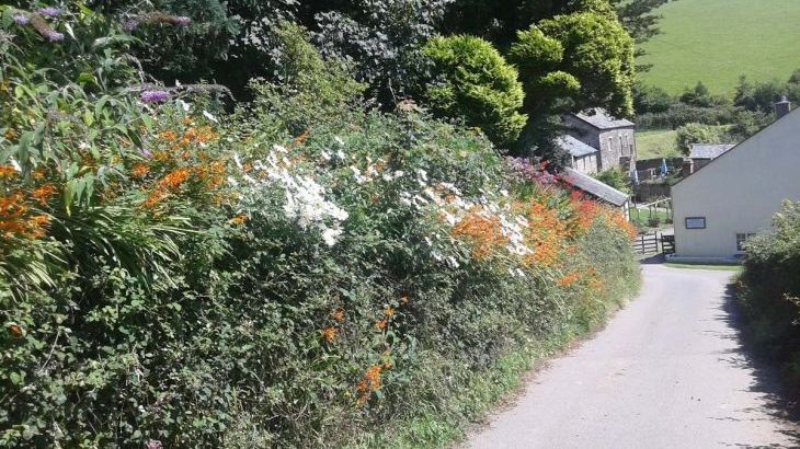 Cider House at Nutcombe Cottages - Photo 26