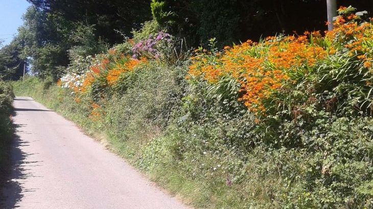 Cider House at Nutcombe Cottages - Photo 27