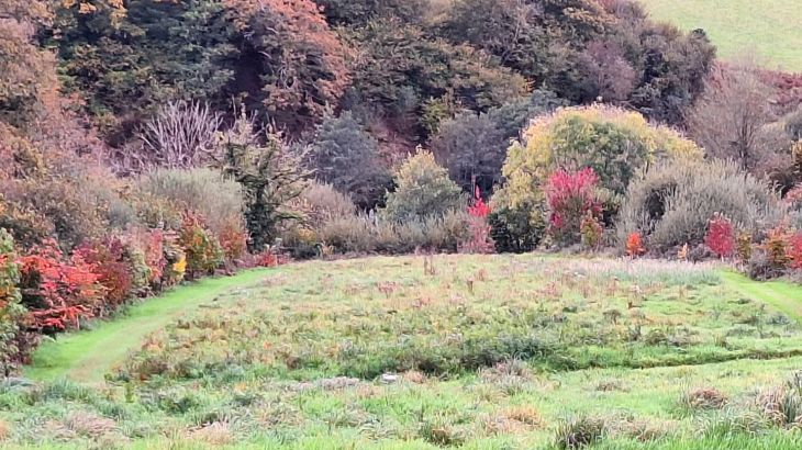 Cider House at Nutcombe Cottages - Photo 31