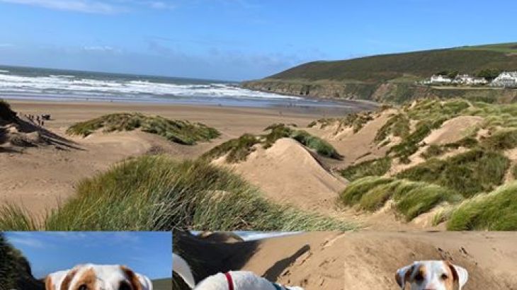 Cider House at Nutcombe Cottages - Photo 37